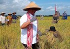 Diluar Prediksi, Pj Gubernur Sultra dan Pemda Konawe Selatan Panen Padi di Tengah Elnino Tetiba Diguyur Hujan