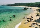 5 Fakta Unik Pulau Sumba di Luar ‘Susu Kuda Liar’
