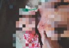 Empat Orang Nelayan di Konawe Selatan Diduga Ditembak Anggota Polairud, Satu Orang Tewas Kena Peluru Tajam